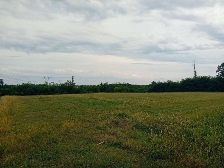 TERRENO AGRICOLO A TREZZANO ROSA